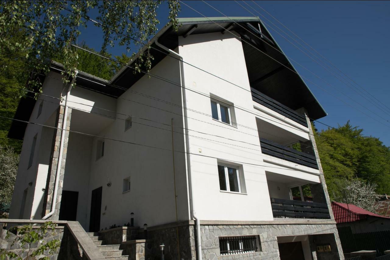 Studio 35 Buşteni Exteriör bild